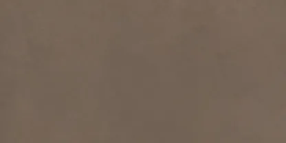 Nuances Marrone 60 x 120